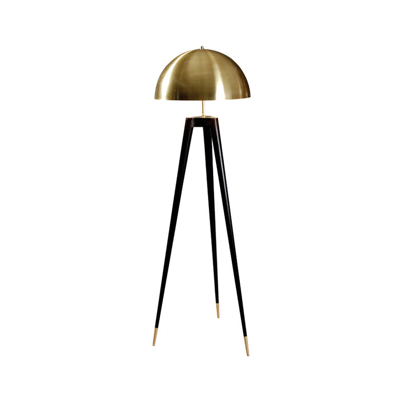 Modern Black Metal Floor Lamp With Unique Linear Capsule Arch Design For Living Room