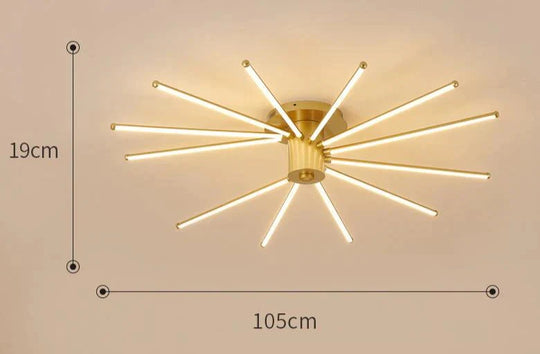 Contemporary Simple Creative Living Room Led Revolving Fireworks Ceiling Golden 12 Warm Light
