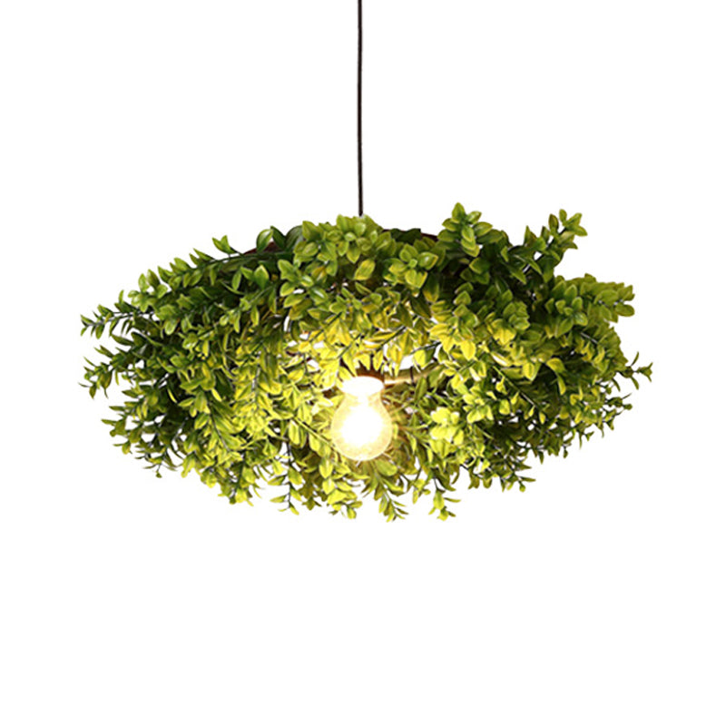 Modern Metal Black Ceiling Light With Exposed Bulb - Retro Led Suspension Lighting Fixture Plant