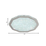 Modern Led Stainless-Steel Flush Mount Ceiling Light For Living Room