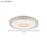 12’/16.5’/20.5’ White Flower Flush Mount Acrylic Led Living Room Light In White/3 Color