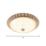 Farmhouse Led Flush Mounted Light With Glass Dome Shade In Gold For Bedroom - Warm/White Options