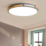 Nordic Style Led Ceiling Light Fixture Acrylic Gray/Green Flush Mount For Living Room And Bedroom -