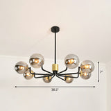 Radial Suspension Light - Contemporary Metal Chandelier With Glass Ball Shade 8 / Black Smoke Grey