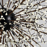 Modern Crystal Beaded Starburst Chandelier - 8/12 Lights White/Red & Green 23.5/31.5 Wide