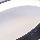 Nordic Acrylic Led Flush Light: Black Molecular Design 4/5 Light Options Warm/White Ideal For Living