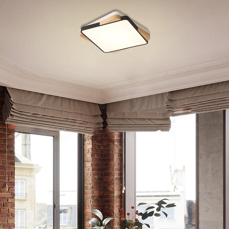 Contemporary Rectangular Acrylic Lighting Fixture - Flush Mount Ceiling Lights For Living Room