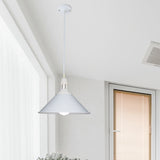 Farmhouse Style Metal Ceiling Pendant Black/White Finish Indoor Hanging Light Fixture