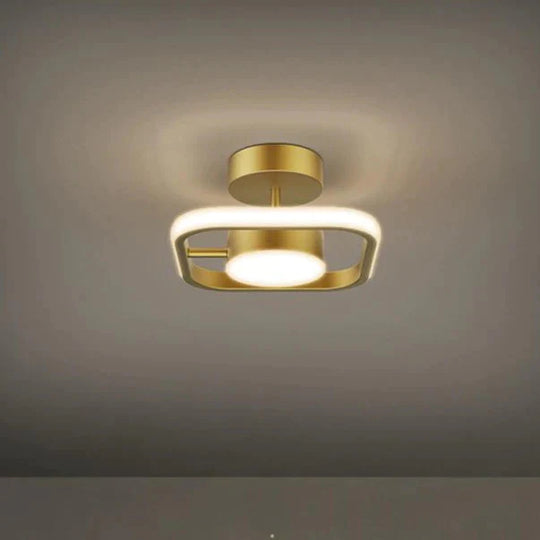 Led Ceiling Lamp With Copper Corridor