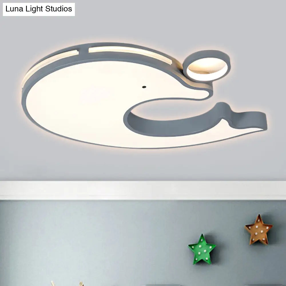 Adorable Acrylic Dolphin Led Ceiling Light - Perfect For Baby Room Or Kindergarten! Grey / White