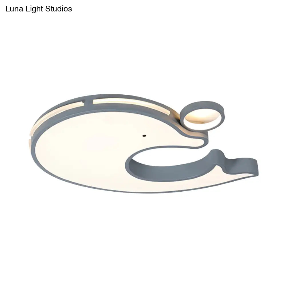 Adorable Acrylic Dolphin Led Ceiling Light - Perfect For Baby Room Or Kindergarten!