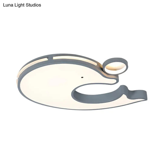 Adorable Acrylic Dolphin Led Ceiling Light - Perfect For Baby Room Or Kindergarten!