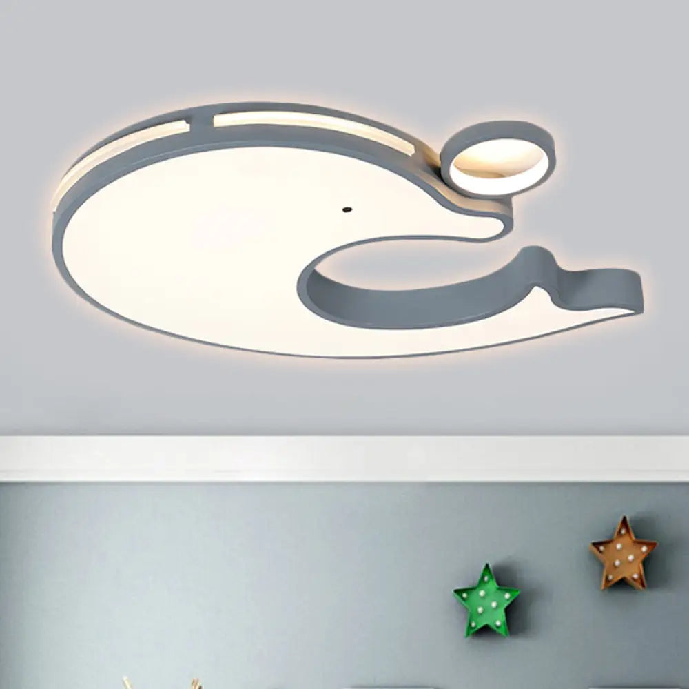 Adorable Acrylic Dolphin Led Ceiling Light - Perfect For Baby Room Or Kindergarten! Grey / White