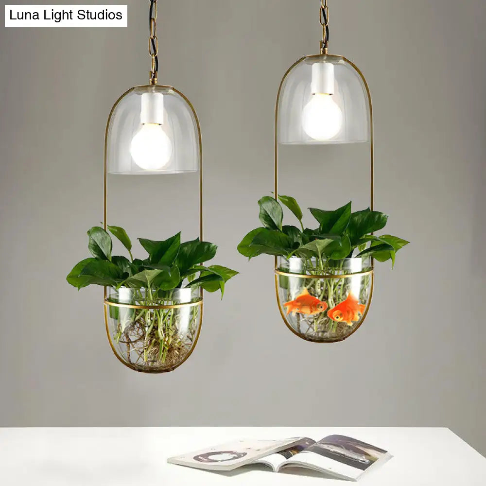 Antique Clear Glass Hemisphere Pendant Light With Gold Oblong Frame And Planter