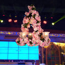 Black Floral Glass Pendant Chandelier For Restaurant Or Loft