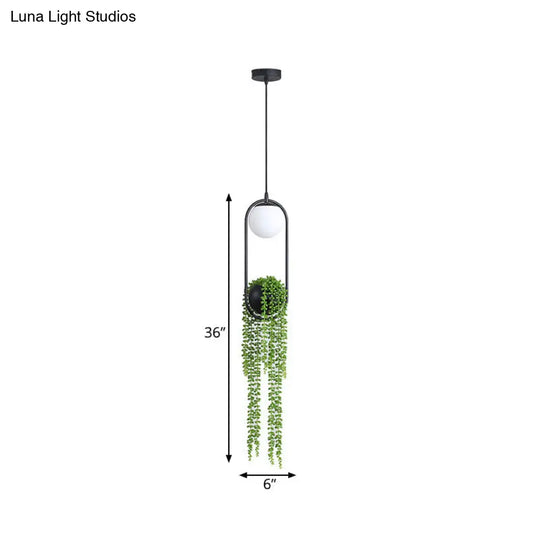 Industrial Global Plant Hanging Light - Metal Led Suspension Lamp (Black)