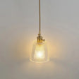Clear Glass Pendant Lighting Fixture With Simplicity Shaded Hanging Light / A