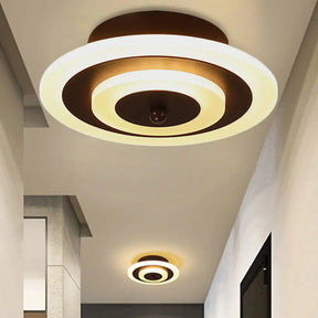 Contemporary Acrylic Ceiling Lamp - Ideal For Living Room And Hallway Coffee / Warm