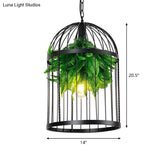 Farmhouse Iron Hanging Lamp: Black Bird Cage Pendant Light With Plant Decor