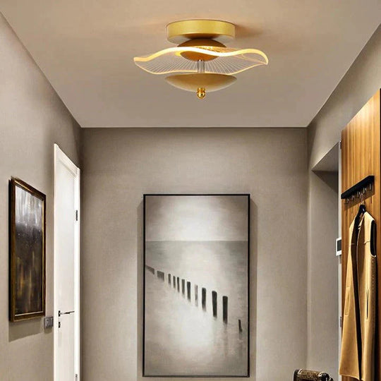 Hayden - Plafonnier de couloir de lumière d'allée moderne de personnalité créative