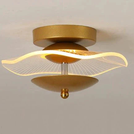 Hayden - Plafonnier de couloir de lumière d'allée moderne de personnalité créative