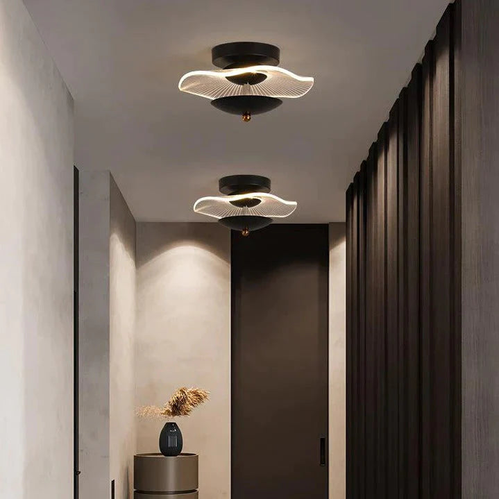 Hayden - Plafonnier de couloir de lumière d'allée moderne de personnalité créative