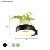 Industrial Clear Glass Dome Wall Sconce With Led Lighting And Plant Container In Black/Grey/White