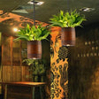 Industrial Wooden Pendant Lamp With Plant For Restaurant - Barrel Suspension Style Brown