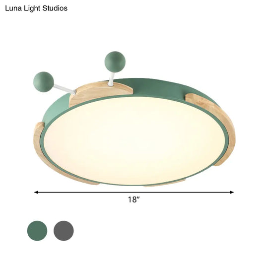 Insect Cartoon Ceiling Lamp With Led Flushmount Lighting In Warm/White Light - Gray/Green