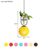 Macaron Rattan Globe Pendant Light With Plant Pot - Beige/Red/Pink