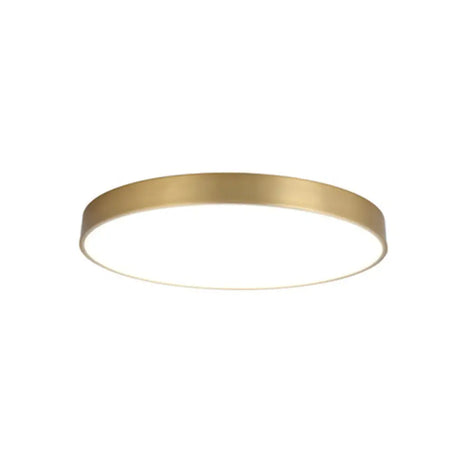 Minimalist Metal Flush Mount Ceiling Light For Bedroom Gold / 12