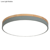 Minimalistic Flush Mount Ceiling Light - 1 Acrylic Disk Design Green / 16 White