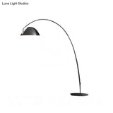 Modern Black Metal Floor Lamp With Unique Linear Capsule Arch Design For Living Room