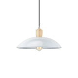 Sleek Metal And Wood Pendant Light Fixture With Bowl Design 1 Bulb - 12.5/16 Diameter Black/White