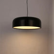 Modern Dia35/48/60Cm White/Black Lampshade Metal Pendant Lamp Round Simple Iron Loft Light With E27