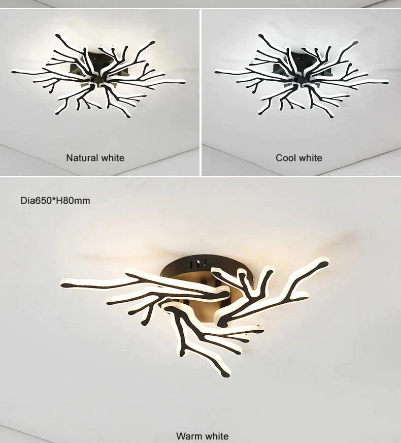 Plafonniers modernes de LED pour le plafonnier à la maison d'appareils de chambre à coucher principale de salon