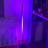 Modern Led Rgb Floor Lights Lighting Living Room Bedroom Decor Lamp Bedside Standing Nordic Indoor