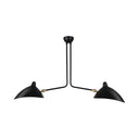 Modern Metal Duckbill Hanging Lamp Black Chandelier With 2/3/5 Lights For Living Room 2 / A