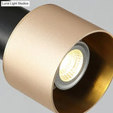 Modern Metal Track Lighting Fixture - Grenade Shaped Design For Living Room