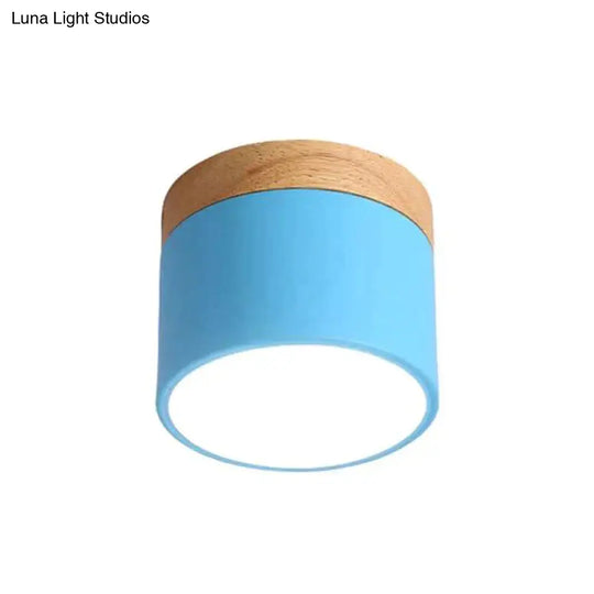 Nordic Ceiling Lights Modern Porch Aisle Corridor Led Lighting Fixtures Blue / Cold White
