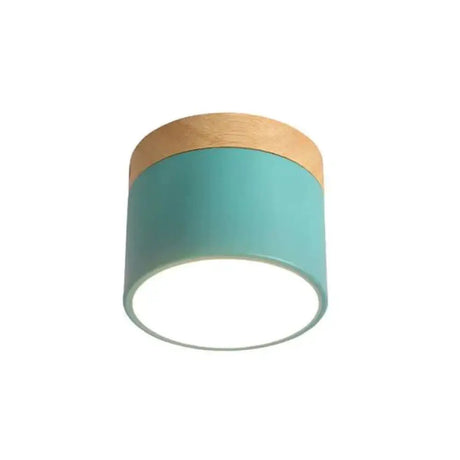 Nordic Ceiling Lights Modern Porch Aisle Corridor Led Lighting Fixtures Green / Cold White