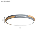 Nordic Style Led Ceiling Light Fixture Acrylic Gray/Green Flush Mount For Living Room And Bedroom -