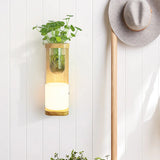 Nordic Wood Wall Sconce With Opal Glass Cylinder - 1-Head Light Fixture Featuring Clear Plant Cup