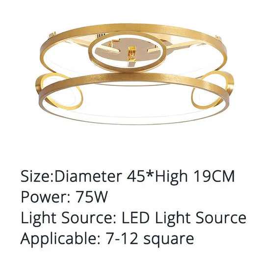 Led Ceiling Lights Gold Body Round/Square For Bedroom Support Remote Control Led Lamps
