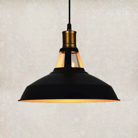 Retro Style Iron Pendant Ceiling Light - 1 Head Suspension Lighting For Bars Black Outer & White