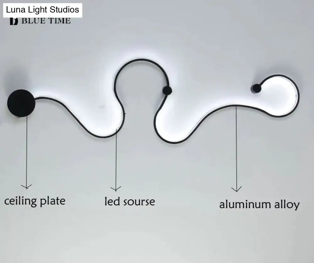 Simple Modern Led Ceiling Light Black&White Body Lustres Led Lamp Living Room Bedroom Beside Room